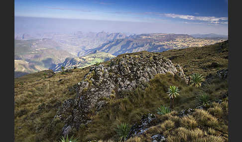 Aethiopien (Ethiopia)