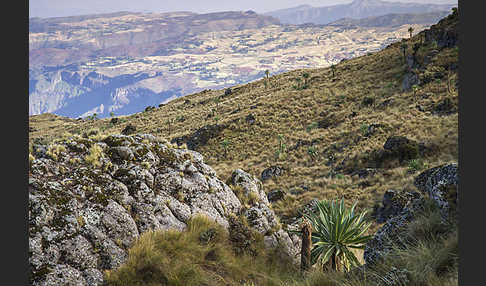Aethiopien (Ethiopia)