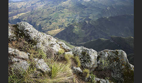 Aethiopien (Ethiopia)