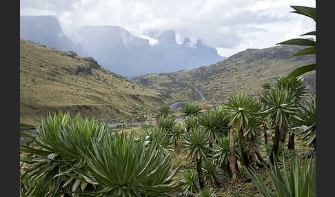 Aethiopien (Ethiopia)