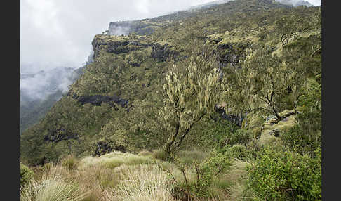 Aethiopien (Ethiopia)