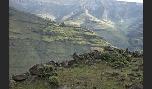 Aethiopien (Ethiopia)