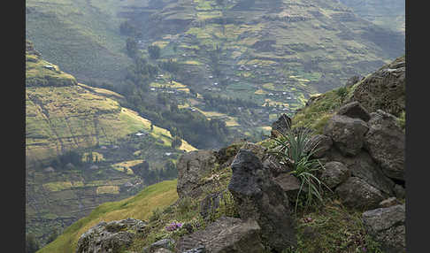 Aethiopien (Ethiopia)