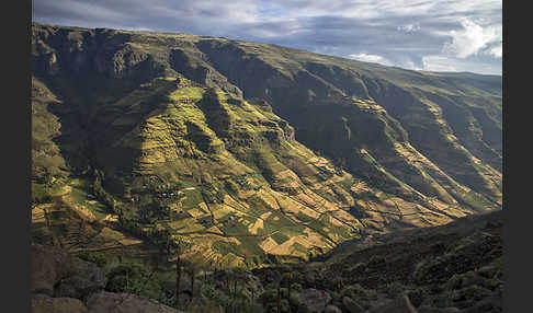 Aethiopien (Ethiopia)