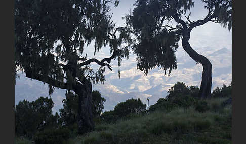 Aethiopien (Ethiopia)