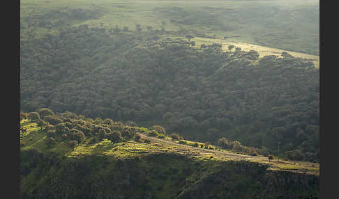 Aethiopien (Ethiopia)