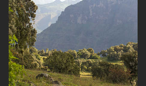 Aethiopien (Ethiopia)
