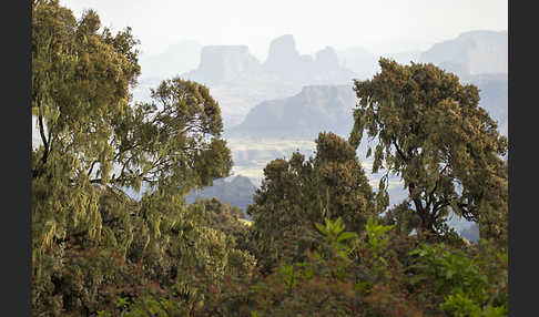 Aethiopien (Ethiopia)