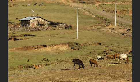 Aethiopien (Ethiopia)