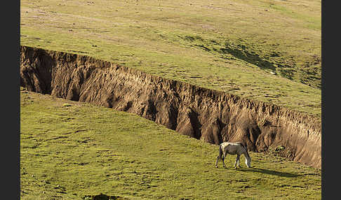 Aethiopien (Ethiopia)