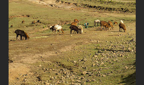 Aethiopien (Ethiopia)