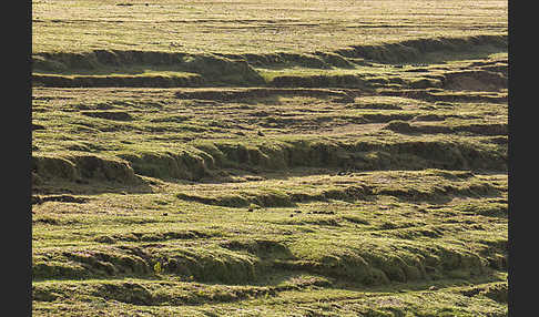 Aethiopien (Ethiopia)