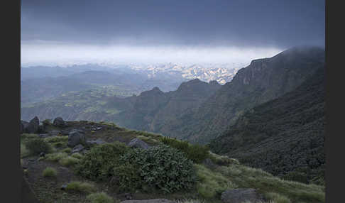 Aethiopien (Ethiopia)