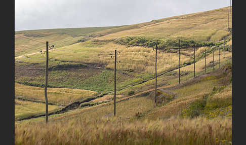 Aethiopien (Ethiopia)