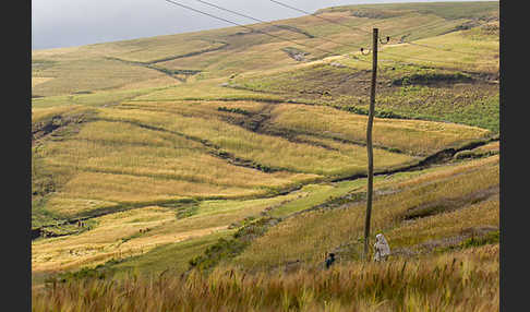 Aethiopien (Ethiopia)