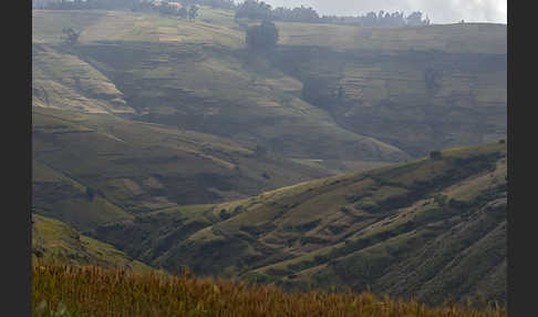 Aethiopien (Ethiopia)