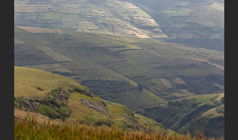 Aethiopien (Ethiopia)