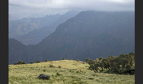 Aethiopien (Ethiopia)