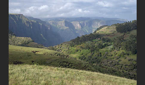 Aethiopien (Ethiopia)