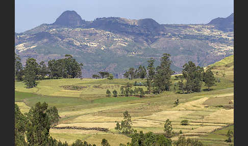 Aethiopien (Ethiopia)