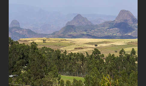 Aethiopien (Ethiopia)