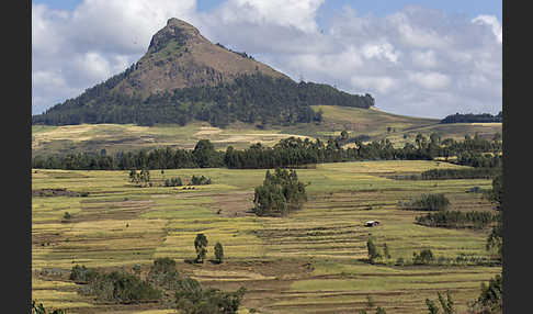 Aethiopien (Ethiopia)