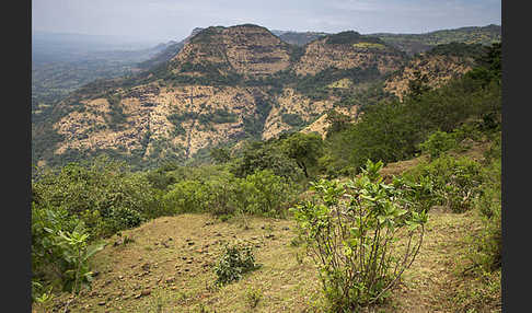 Aethiopien (Ethiopia)