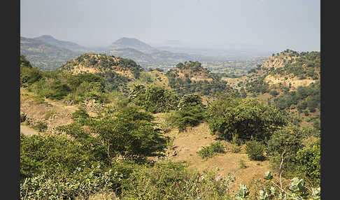 Aethiopien (Ethiopia)