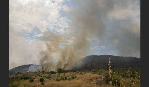 Aethiopien (Ethiopia)