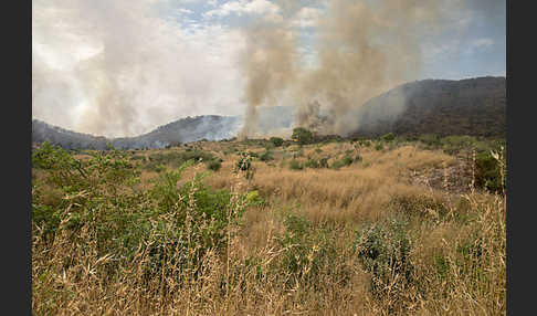 Aethiopien (Ethiopia)