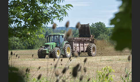 Intensive Landwirtschaft (industrial agriculture)