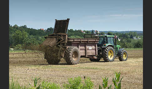 Intensive Landwirtschaft (industrial agriculture)