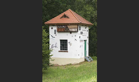 Nistkasten (nest box)