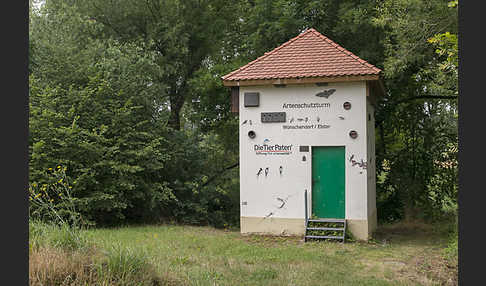 Nistkasten (nest box)