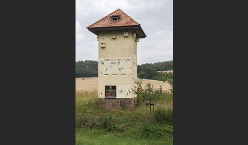 Nistkasten (nest box)