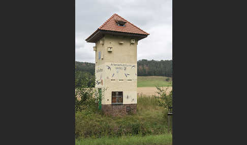 Nistkasten (nest box)