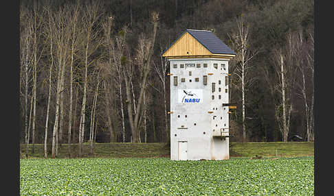Nistkasten (nest box)