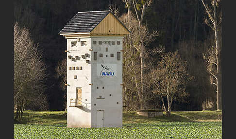 Nistkasten (nest box)