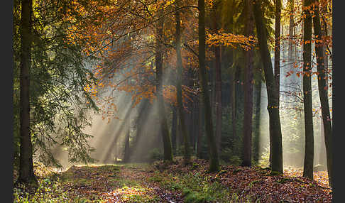 Thüringen (Thuringia)