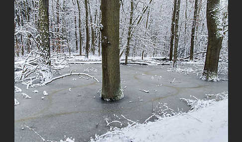 Thüringen (Thuringia)