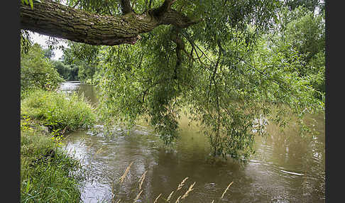 Thüringen (Thuringia)