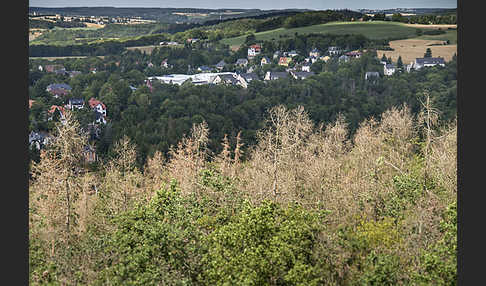 Kulturlandschaft (cultivated landscape)