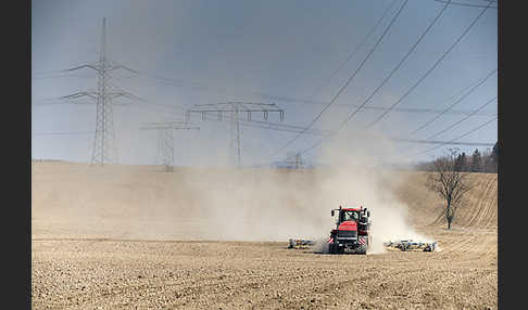 Intensive Landwirtschaft (industrial agriculture)