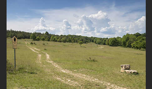 Thüringen (Thuringia)