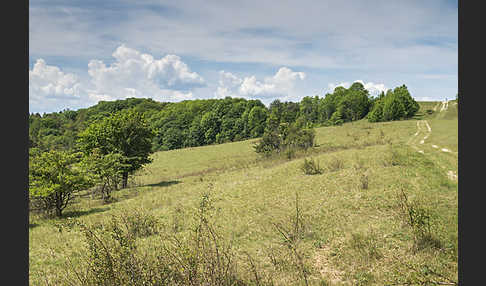 Thüringen (Thuringia)