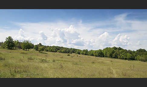 Thüringen (Thuringia)