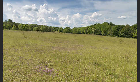 Thüringen (Thuringia)