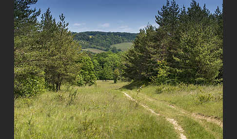 Thüringen (Thuringia)