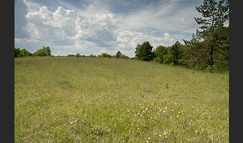 Thüringen (Thuringia)