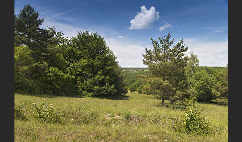 Thüringen (Thuringia)